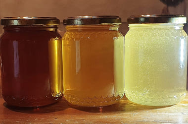 Vendita e produzione miele naturale prato